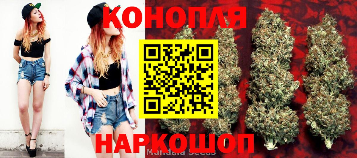 Марихуана сатива Бугуруслан